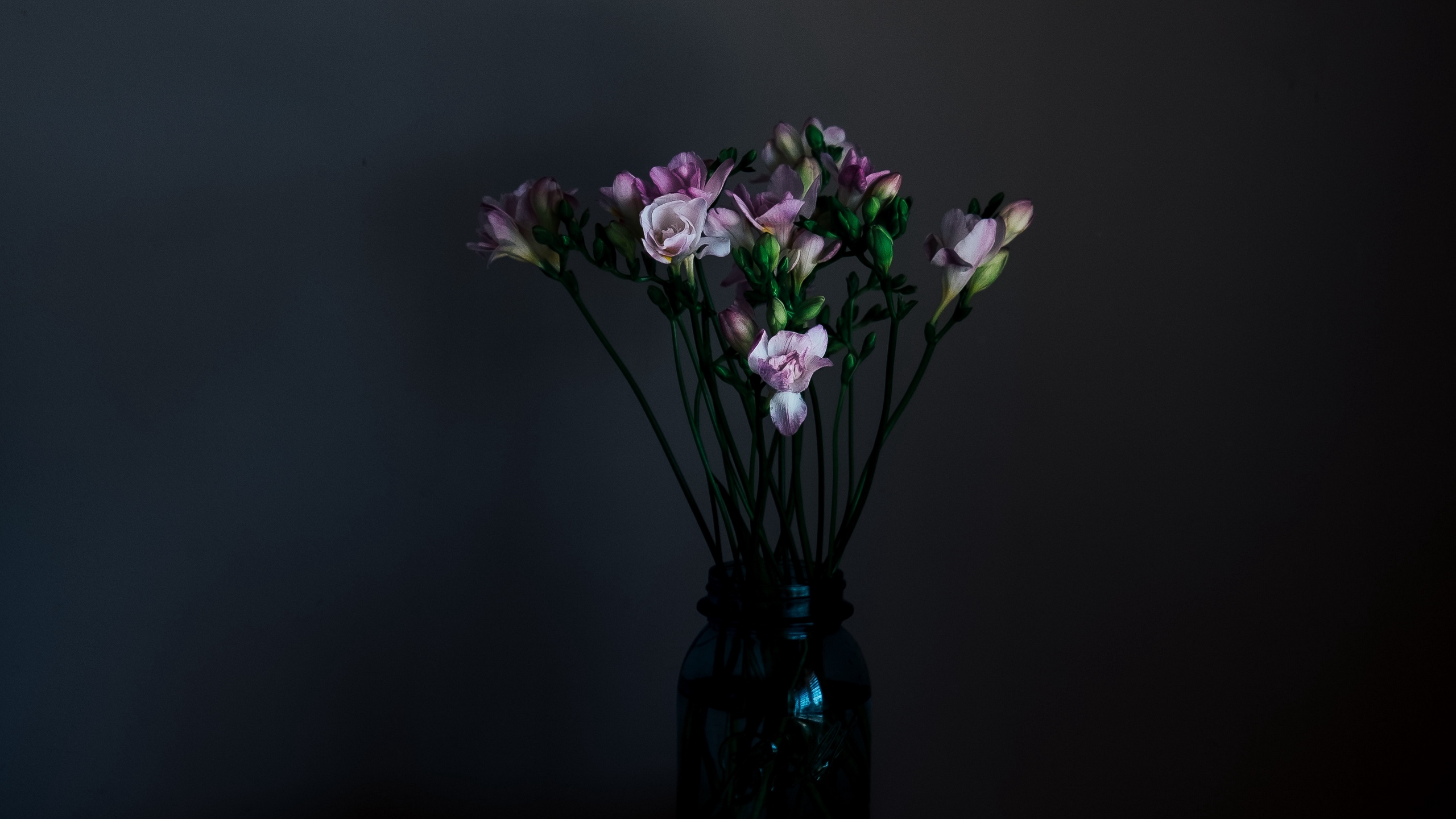 Wallpaper Flowers, Vase, Dark, Bouquet - 4k Wallpaper Dark Flower - HD Wallpaper 