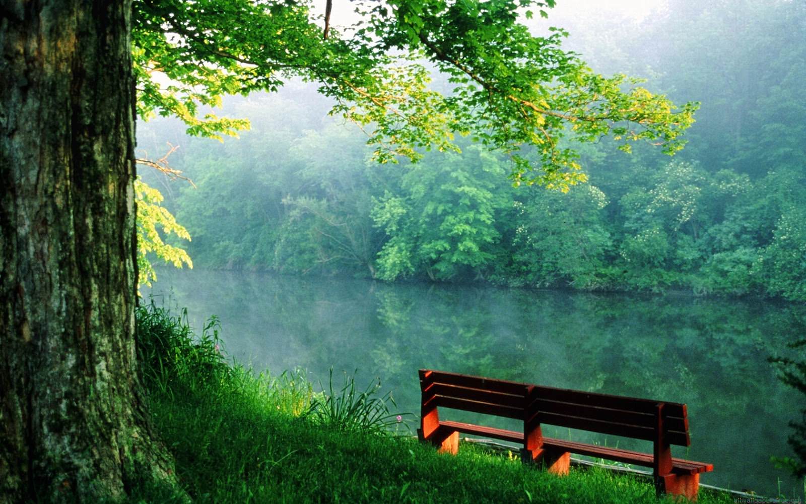 Nature Full Hd Wallpapers - Full Hd Wallpaper Nature - 1552x970 Wallpaper - Nature Full Hd Wallpapers - Full Hd Wallpaper Nature - 1552x970 Wallpaper -