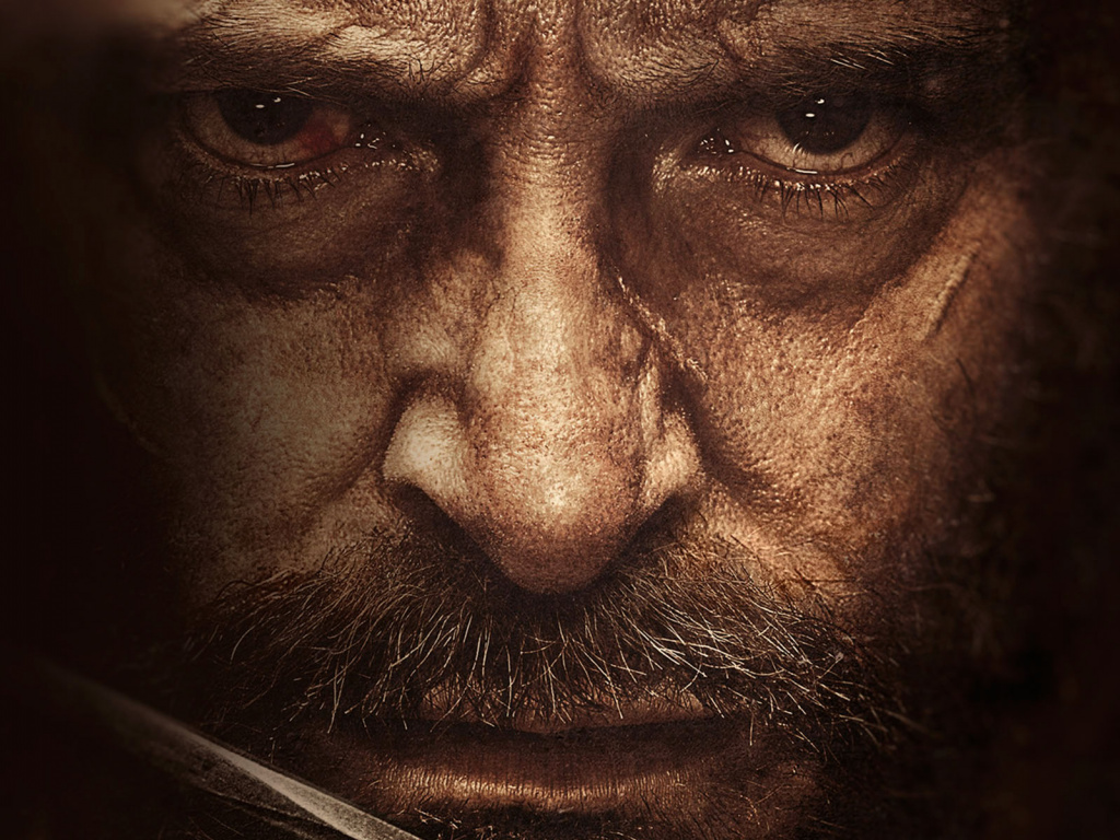 Wallpaper Hugh Jackman, Wolverine, Logan Face - Hugh Jackman Wolverine 4k - HD Wallpaper 