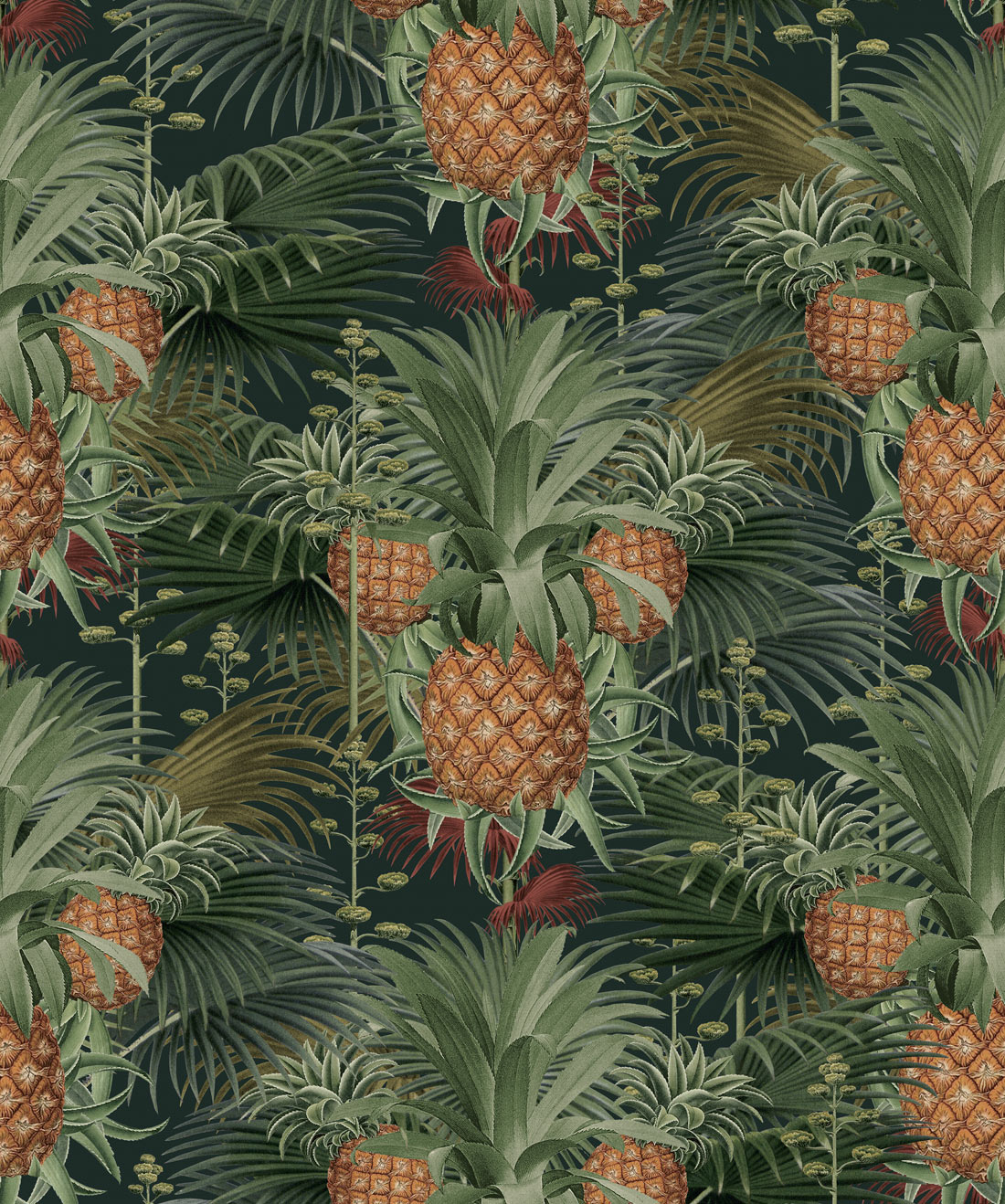 Pineapple Tree - HD Wallpaper 