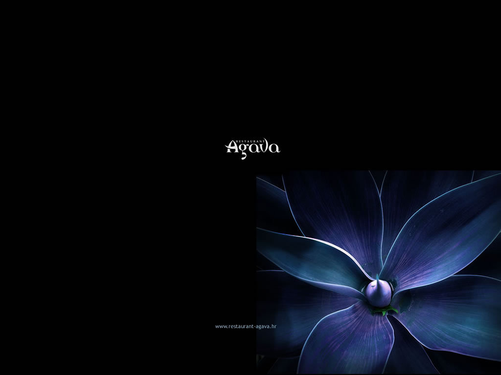 Blue Cynea - New Wallpaper For Facebook - HD Wallpaper 