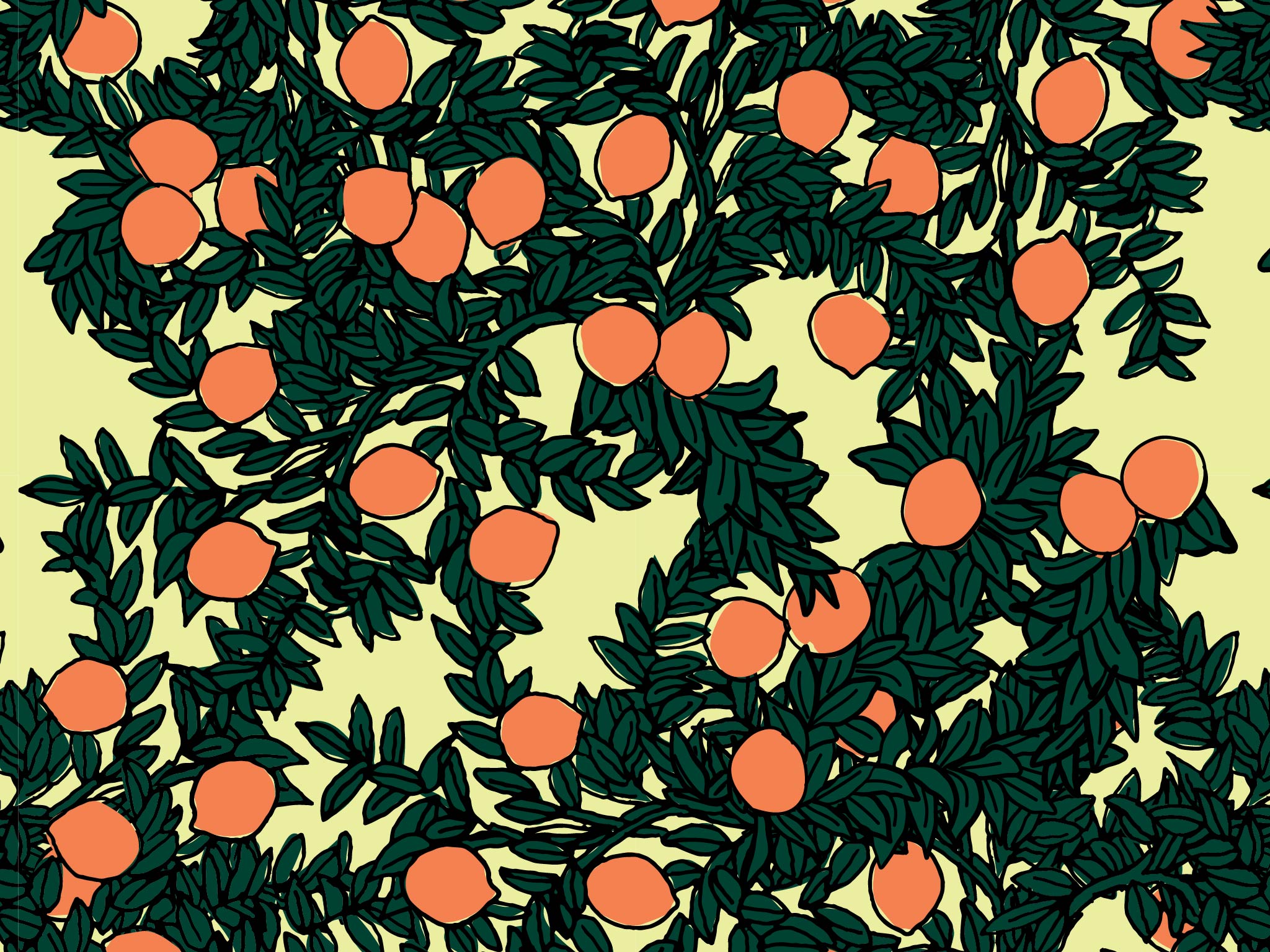 Baggu Designer - HD Wallpaper 