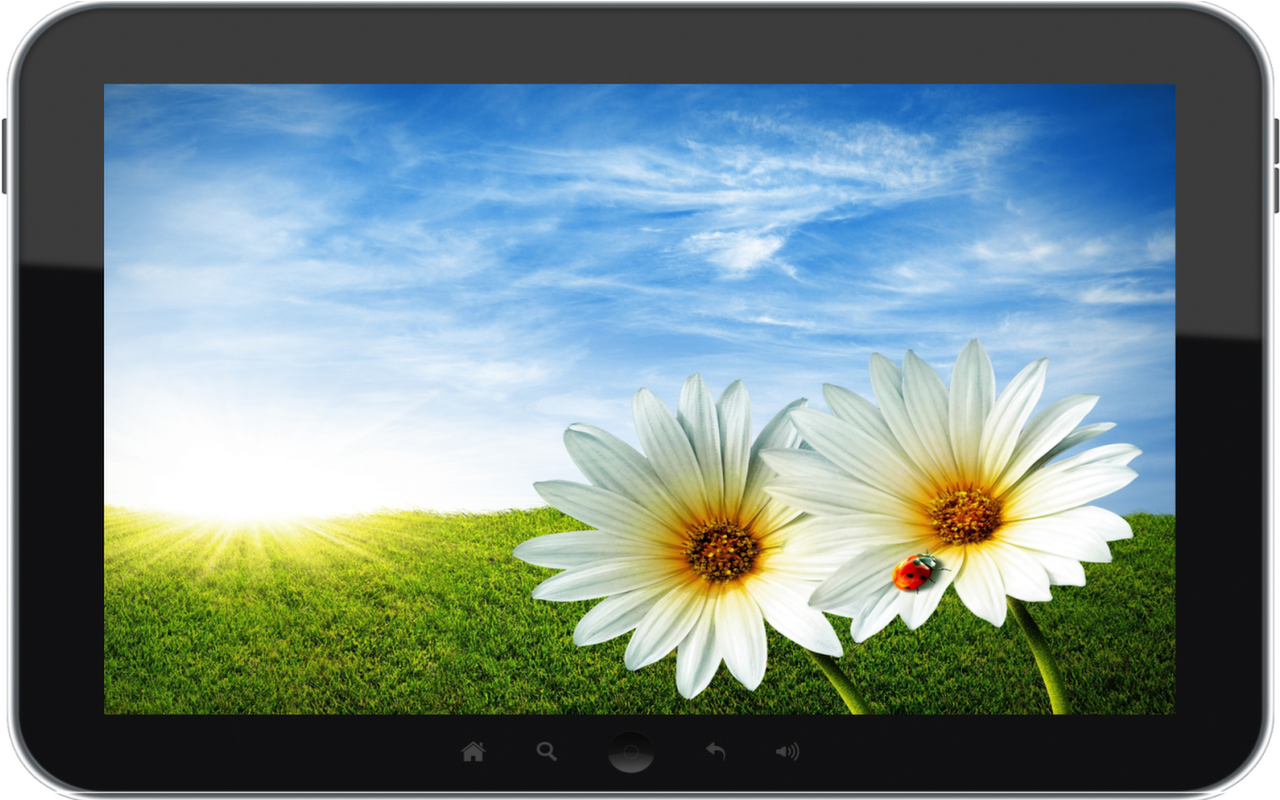 Top Wallpaper Download Hd - HD Wallpaper 