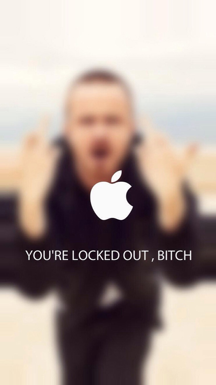 You Are Locked Out Bitch Iphone 6 Wallpaper - You Are Locked Out Bitch - HD Wallpaper 