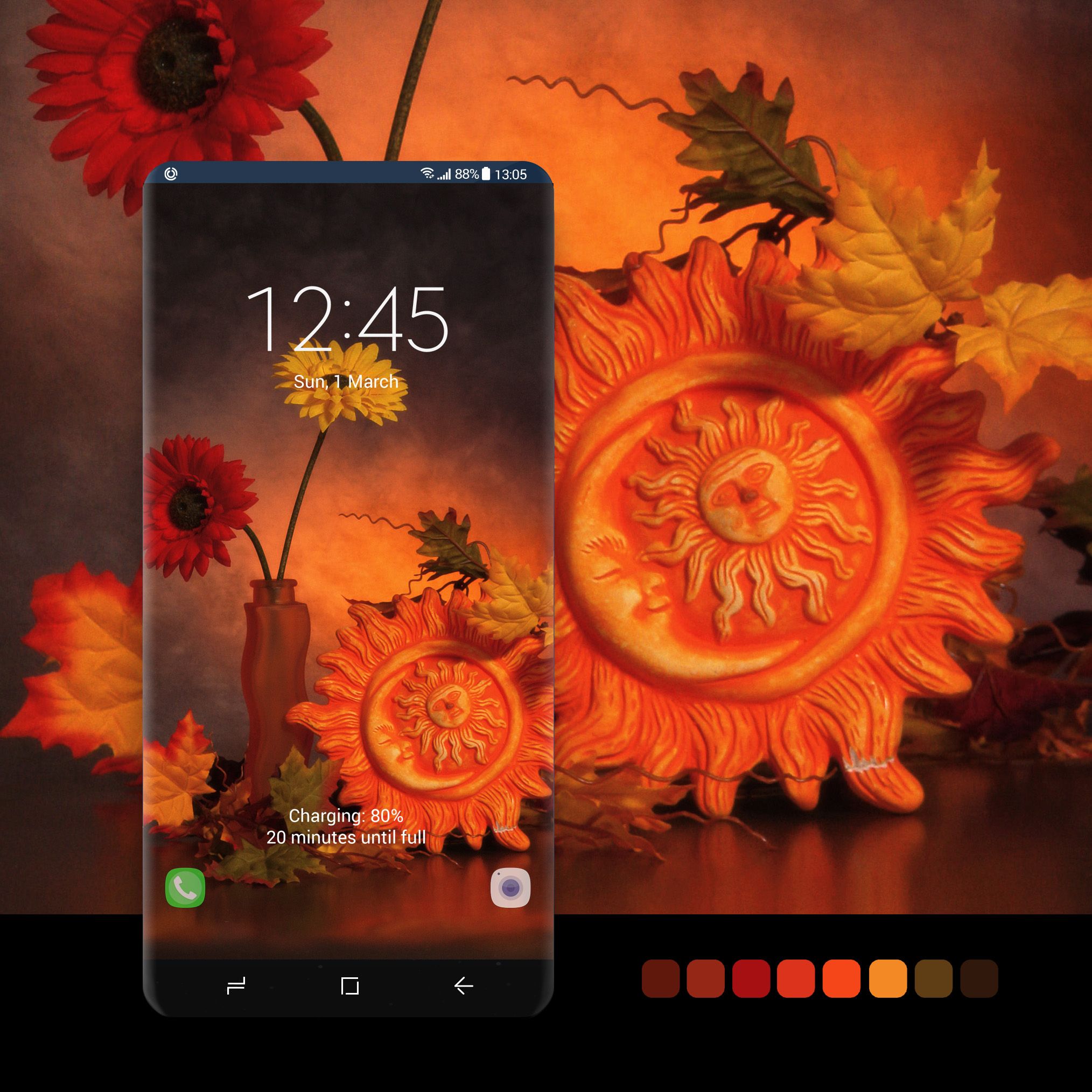 Sunflower - HD Wallpaper 