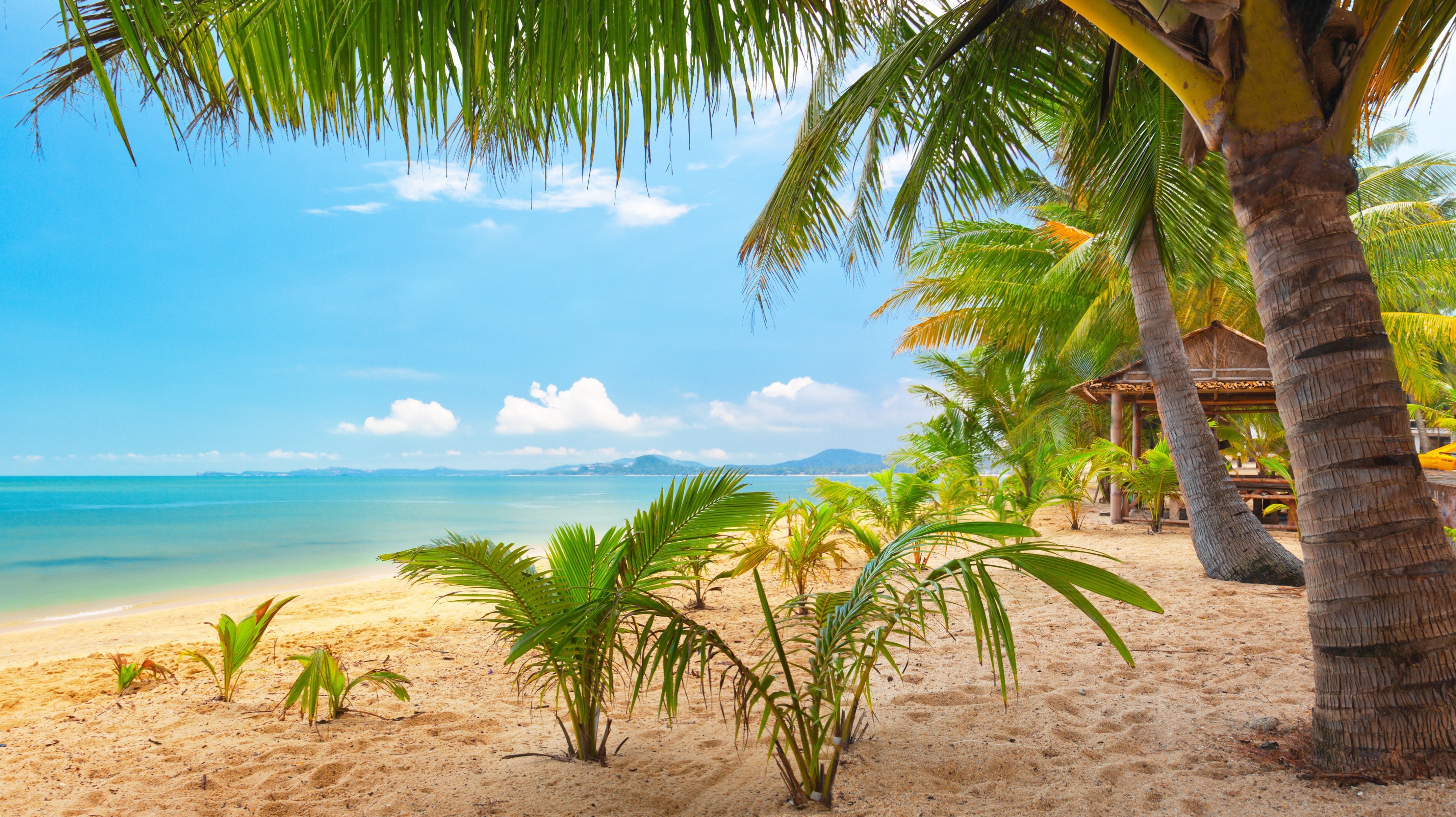 High Resolution Wallpaper 8k - HD Wallpaper 