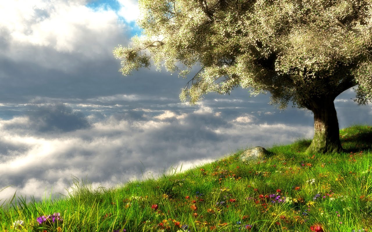 Spring Landscape Widescreen Wallpaper In Hd Free - Spring 3d - HD Wallpaper 
