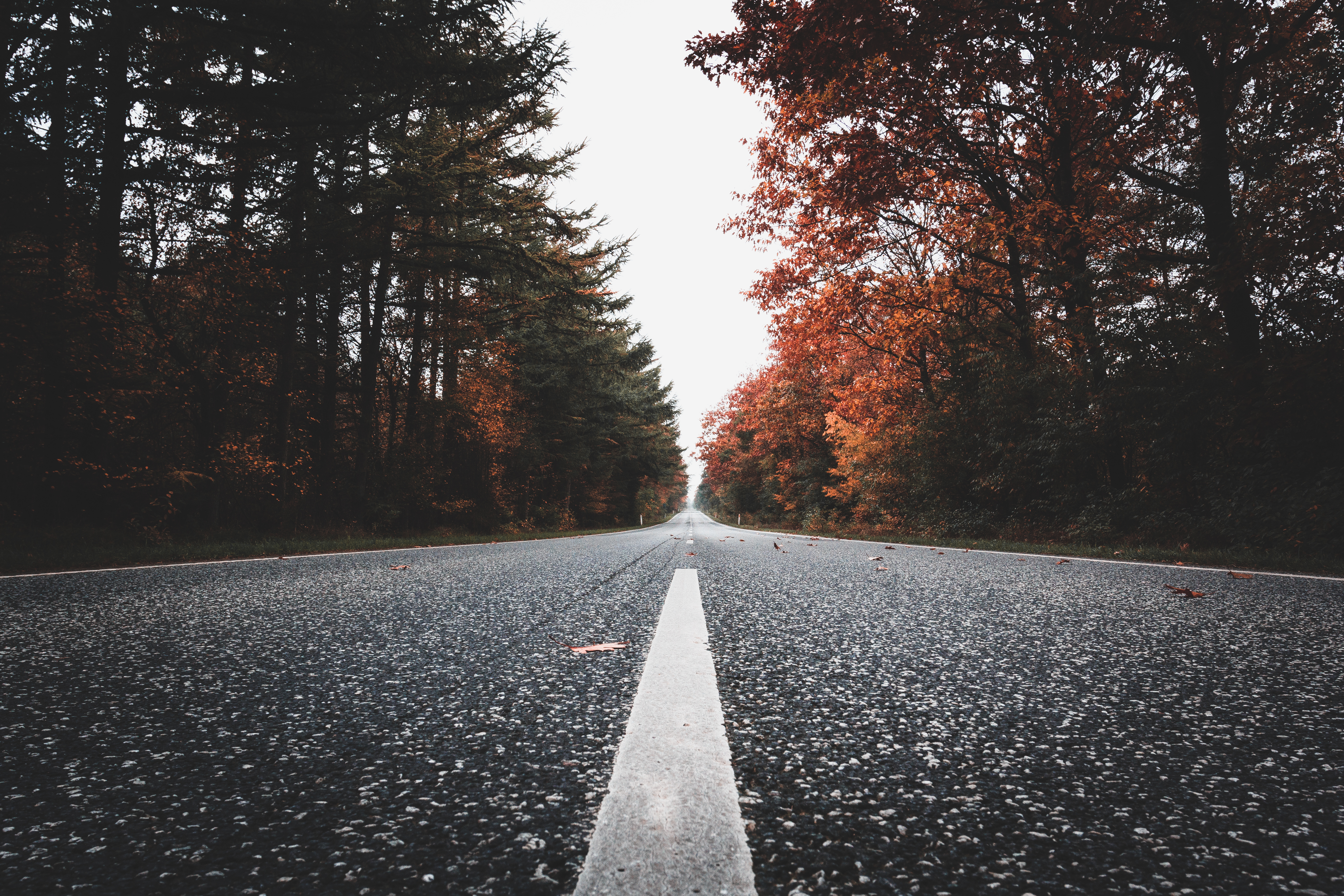 Road Background Picsart - 5062x3375 Wallpaper 