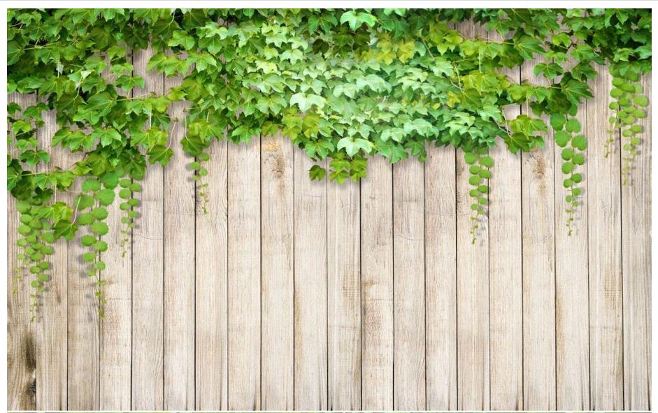 Ivy Wall - 941x591 Wallpaper - teahub.io