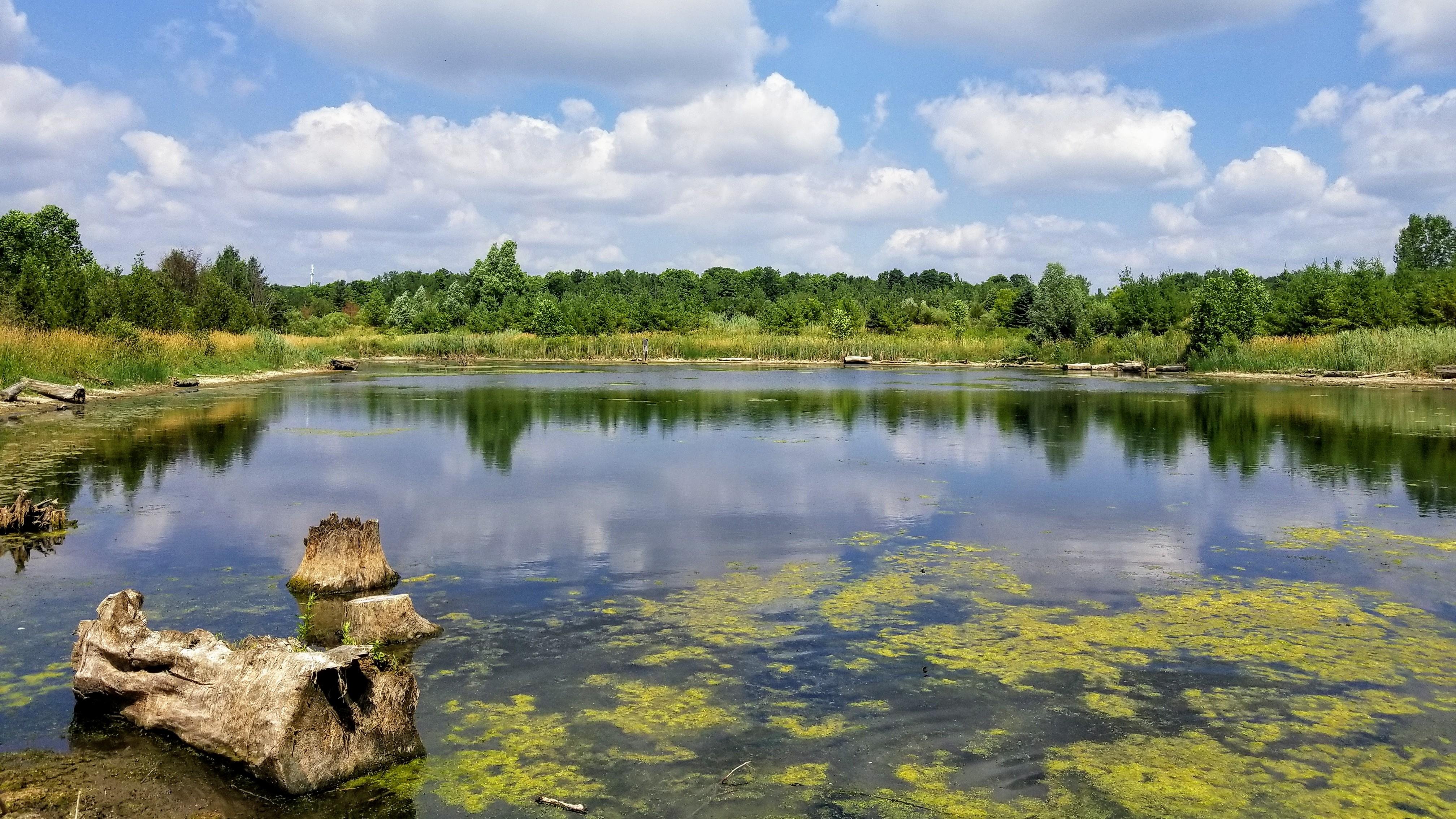 Reflection - HD Wallpaper 