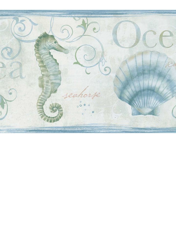 Seashell Wallpaper Border - 720x960 Wallpaper 