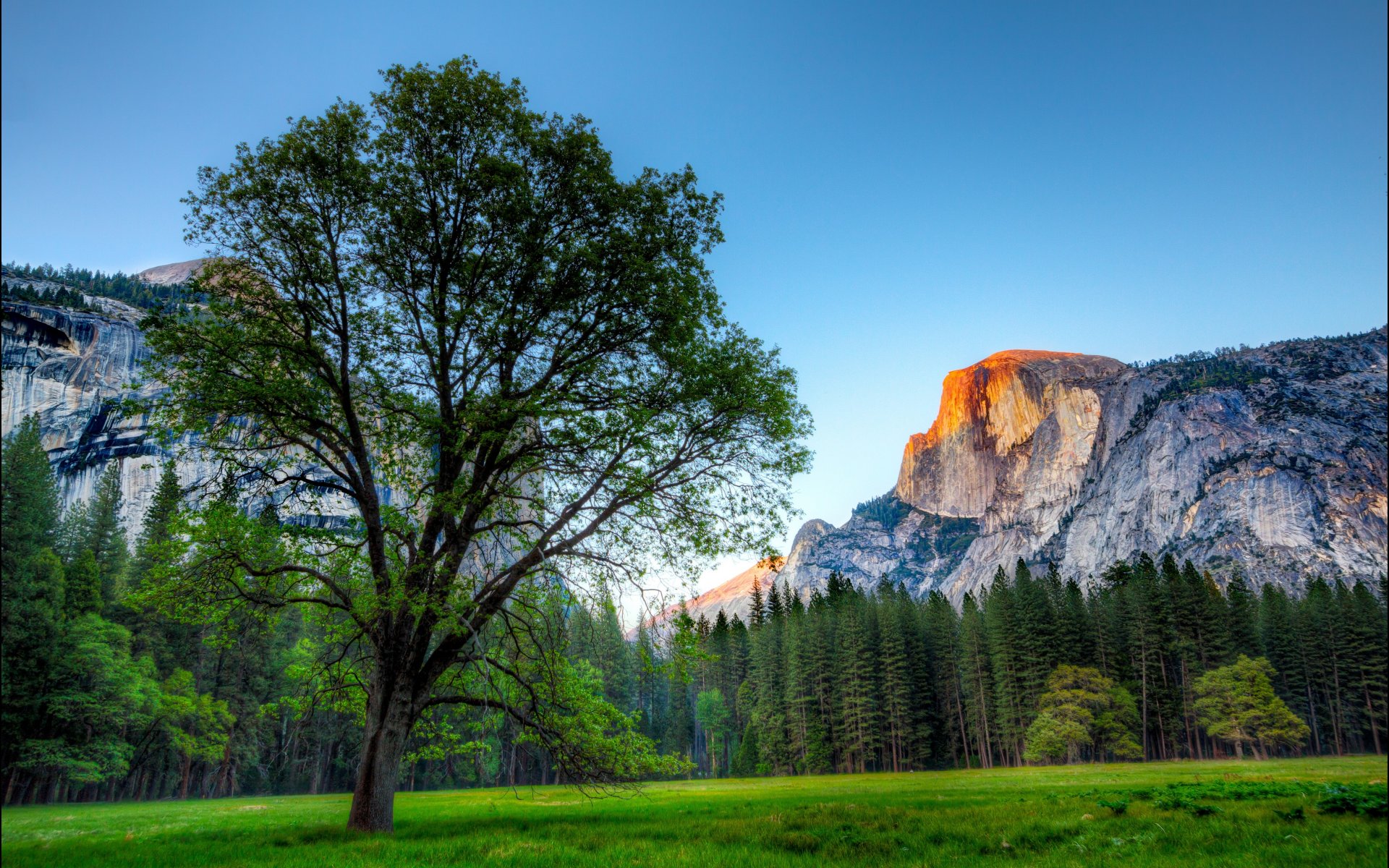 Os X Yosemite Wallpaper Hd - Yosemite National Park, Half Dome - HD Wallpaper 