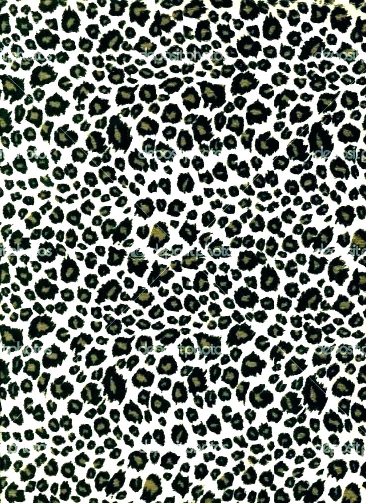 Black And White Wallpaper Borders Uk Wall Border Your - Animal Print Wallpapers Leopardo - HD Wallpaper 