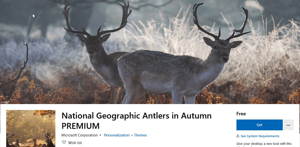 National Geographic Antlers In Autumn Windows 10 4k - National Geographic - HD Wallpaper 