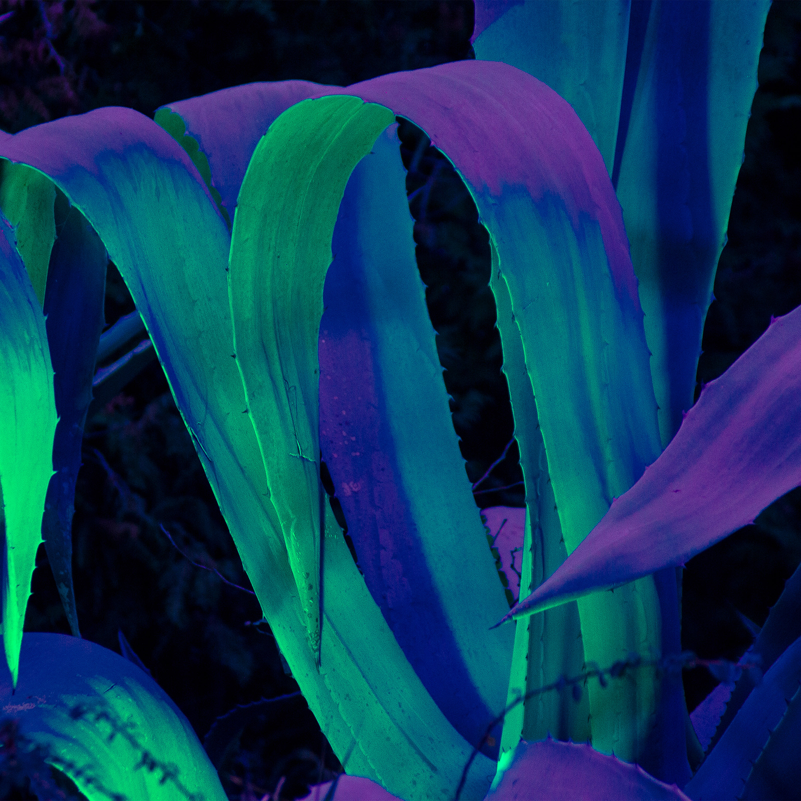 Iphone Hd Wallpapers Purple Blue - HD Wallpaper 