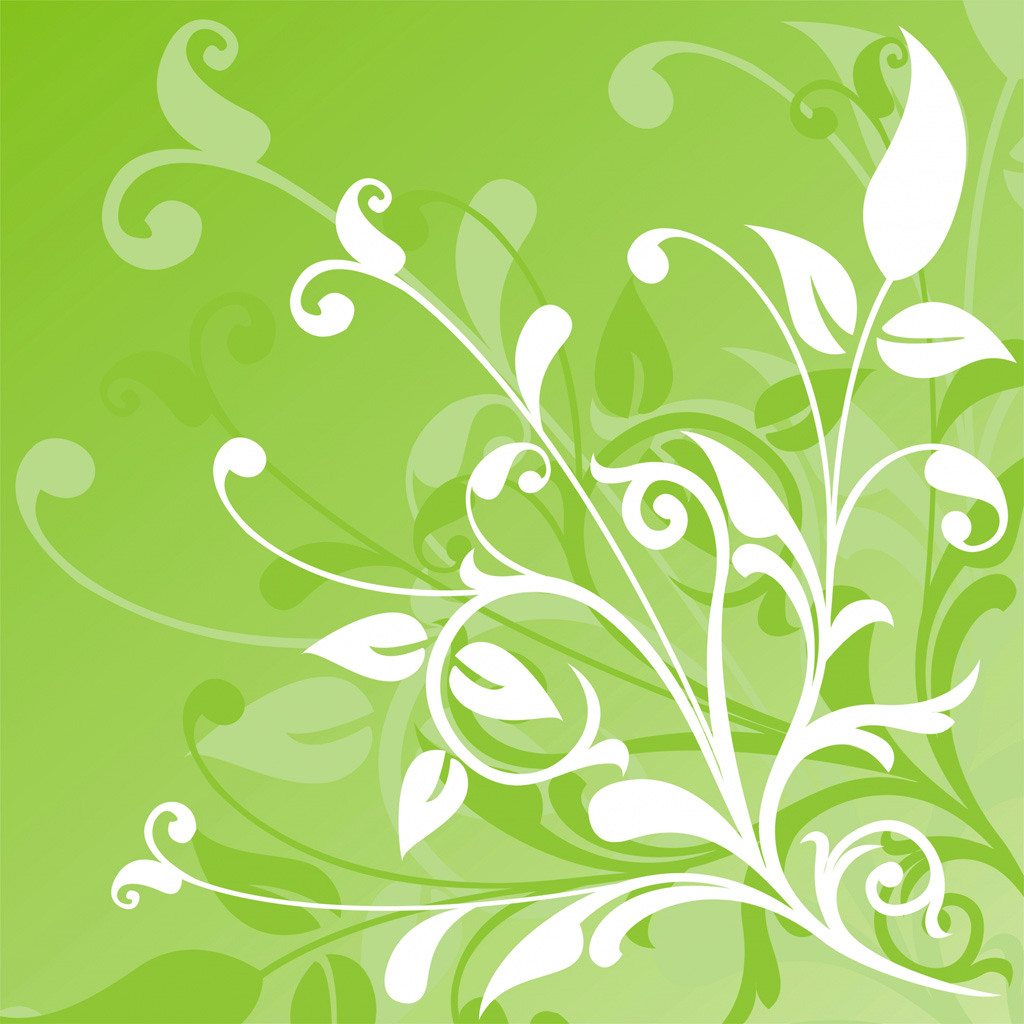 Beverages For Lunch Menu - HD Wallpaper 