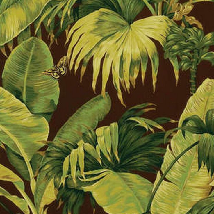 Palm Wallpaper Pierre Frey - HD Wallpaper 