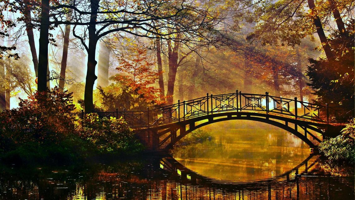 Autumn Depression - HD Wallpaper 