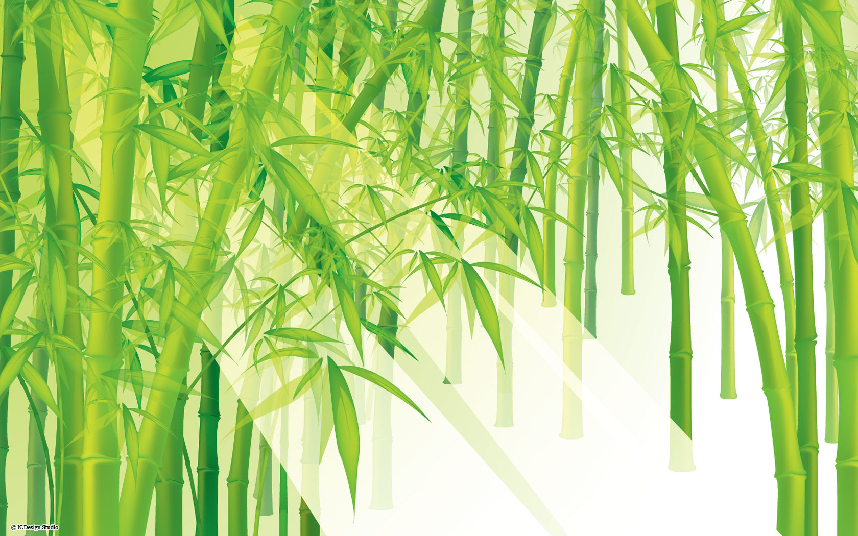 Uncle Lee's Tea Bamboo - HD Wallpaper 