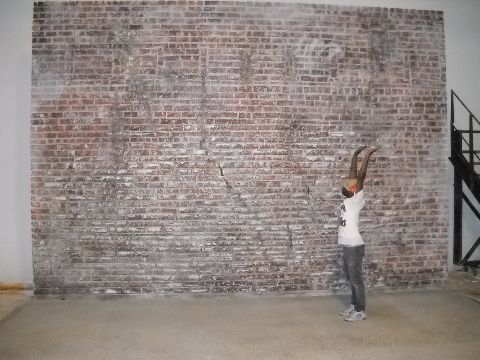 Gold And Black Leaf Scroll Wallpaper Border 5 Hd Wallpaper - Wall - HD Wallpaper 