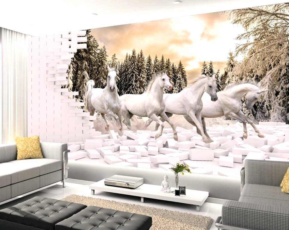 Wallpaper For House Walls India Animals Birds Wallpapers - Beautiful Room - HD Wallpaper 