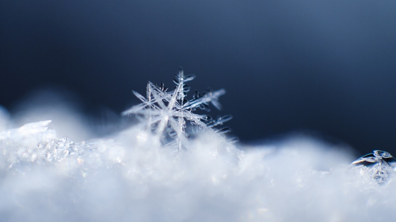 Free Download Excellent Snowflake - Desktop Wallpaper Snowflakes - 1366x768 Wallpaper Free Download Excellent Snowflake - Desktop Wallpaper Snowflakes - 1366x768 Wallpaper