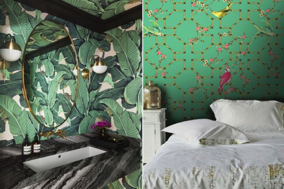 Emerald Green, Designer Tips, Colour Tips, Wallpaper, - Banana Leaf Wallpaper Pink Room - HD Wallpaper 