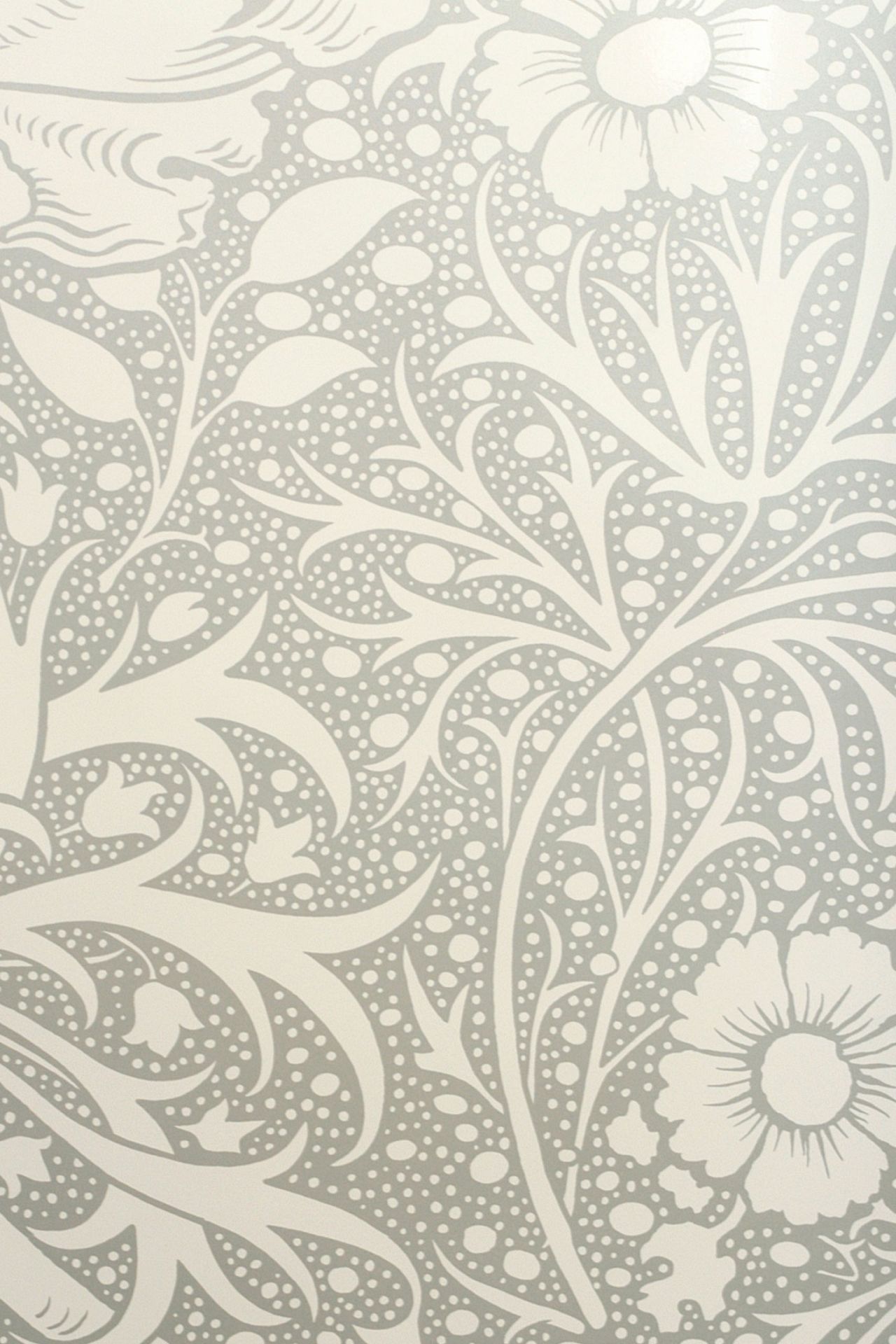 Wallpaper - HD Wallpaper 