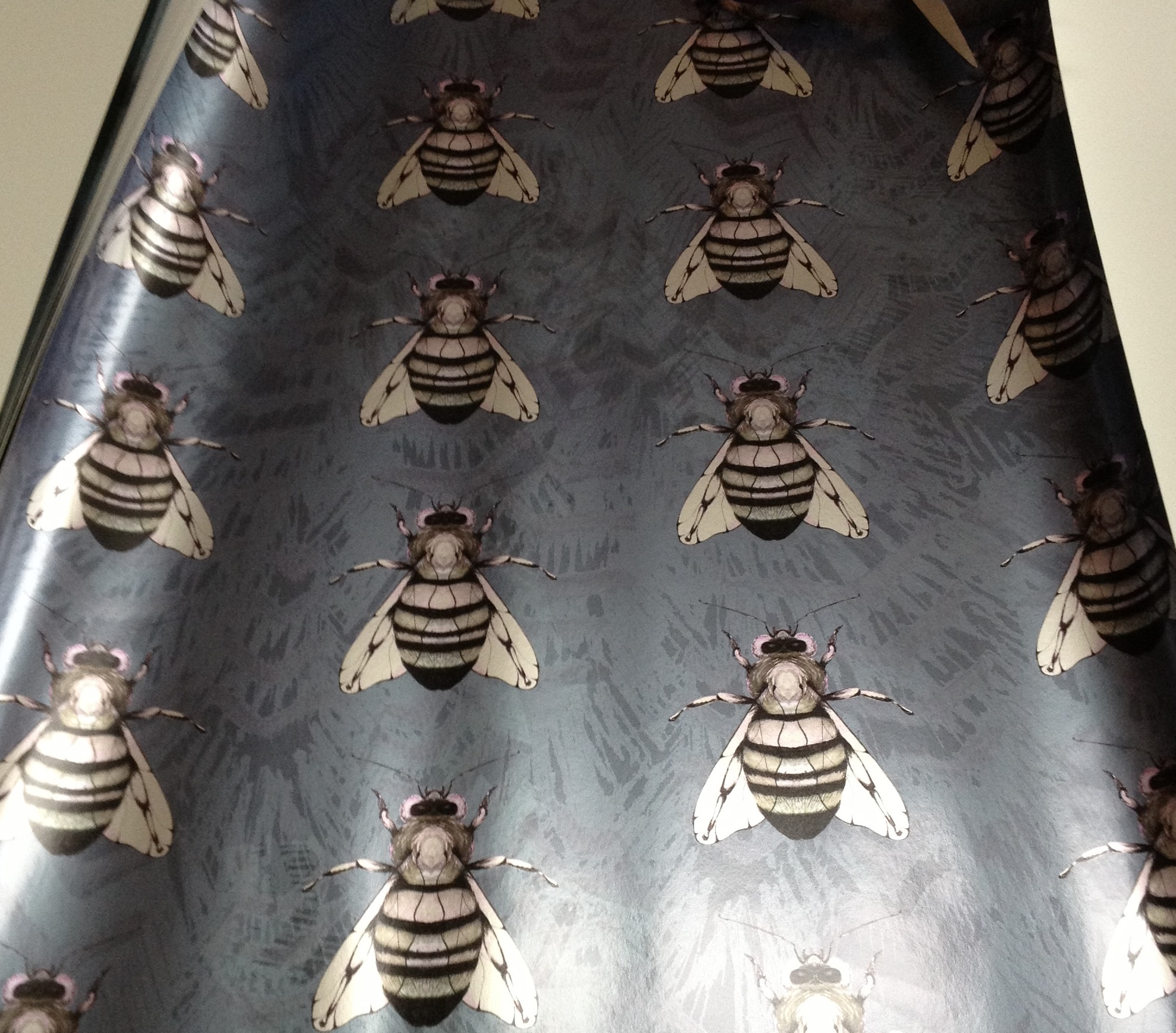 Honeybee - 1977x1736 Wallpaper - teahub.io