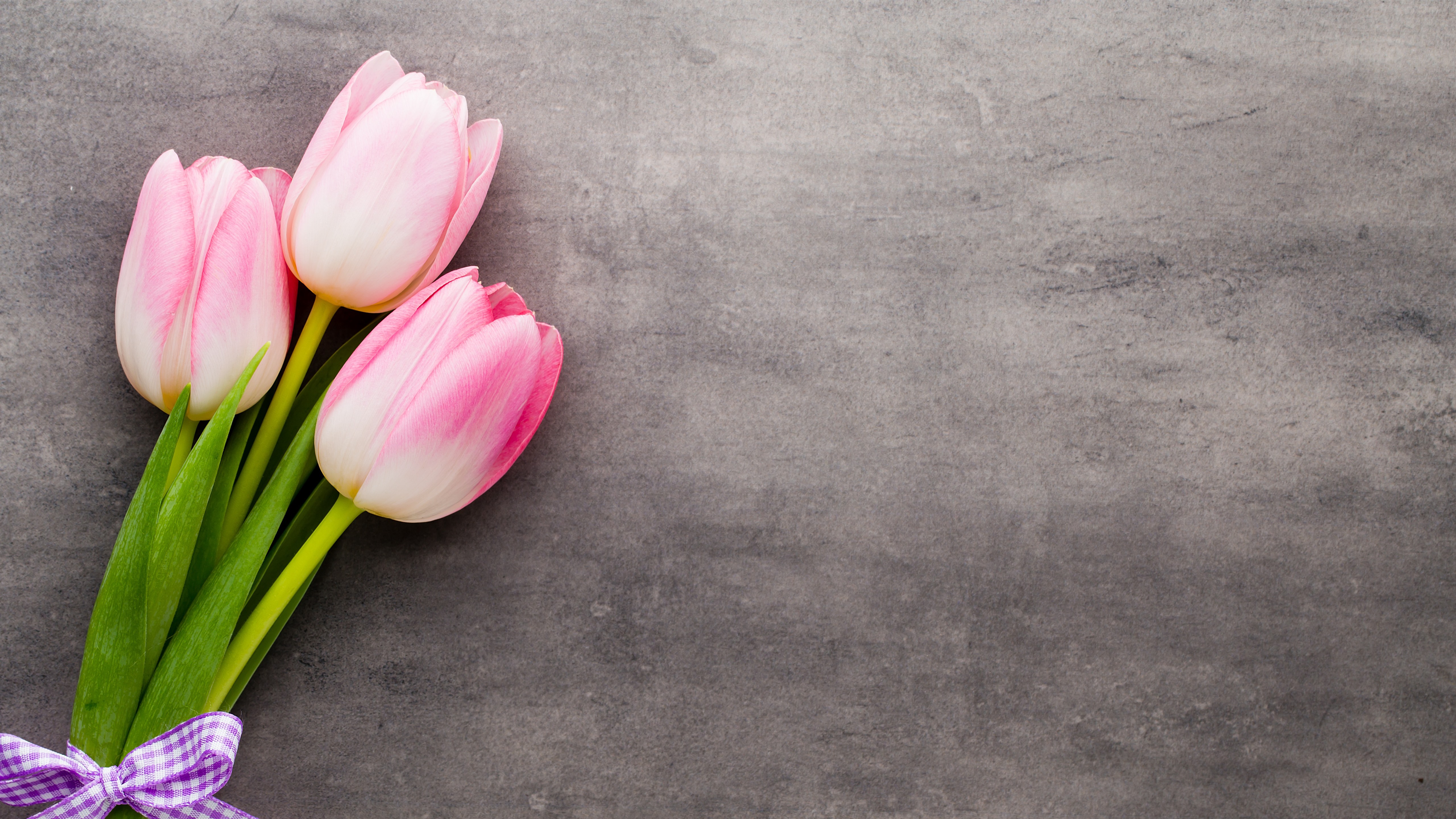 Wallpaper Three Pink Tulips, Bouquet, Gray Background - Papel De Parede 1366x768 Flores - HD Wallpaper 
