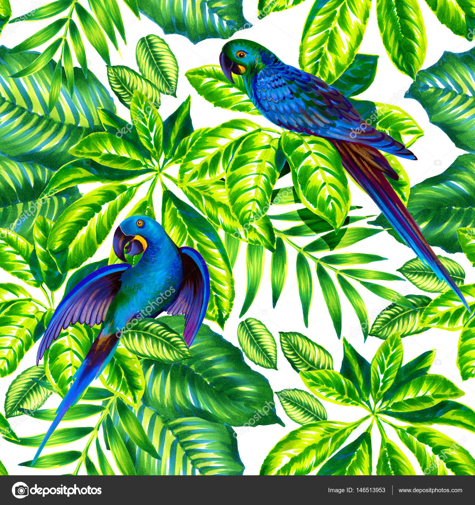 Fond D Écran Feuillage - HD Wallpaper 