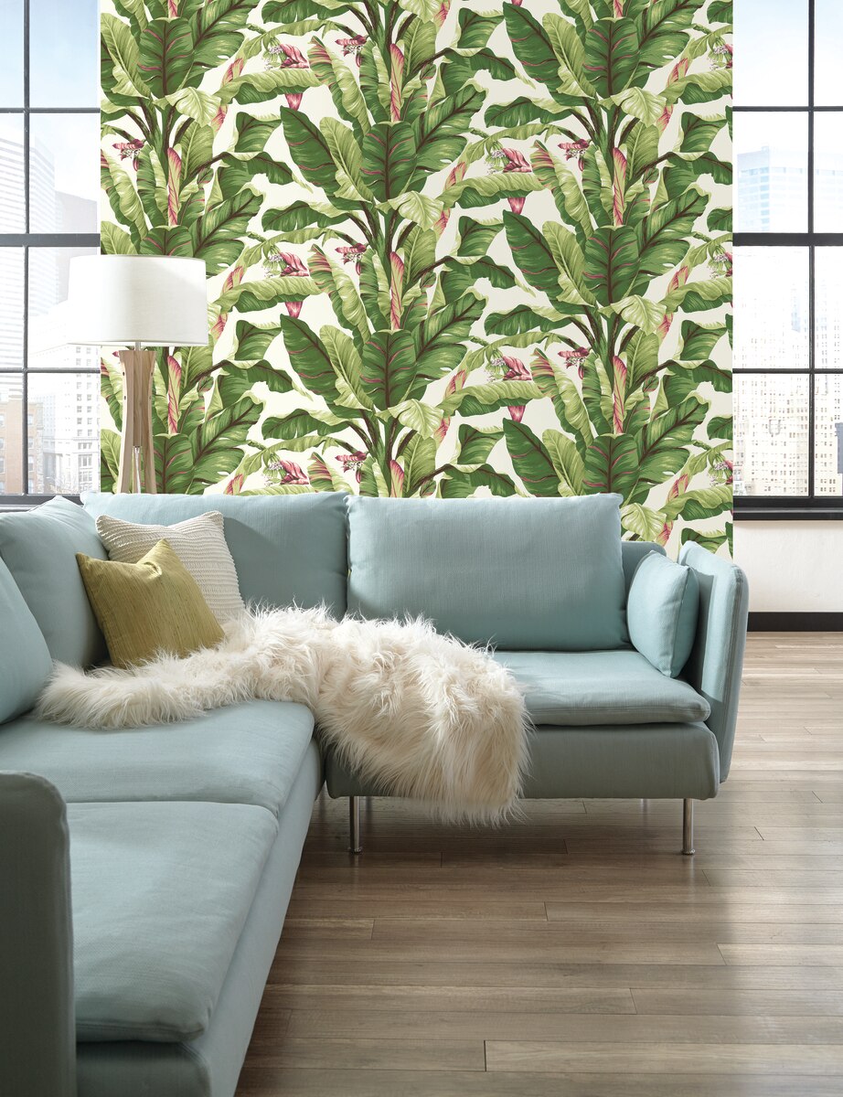 Tropical Leaf Wallpaper York - HD Wallpaper 