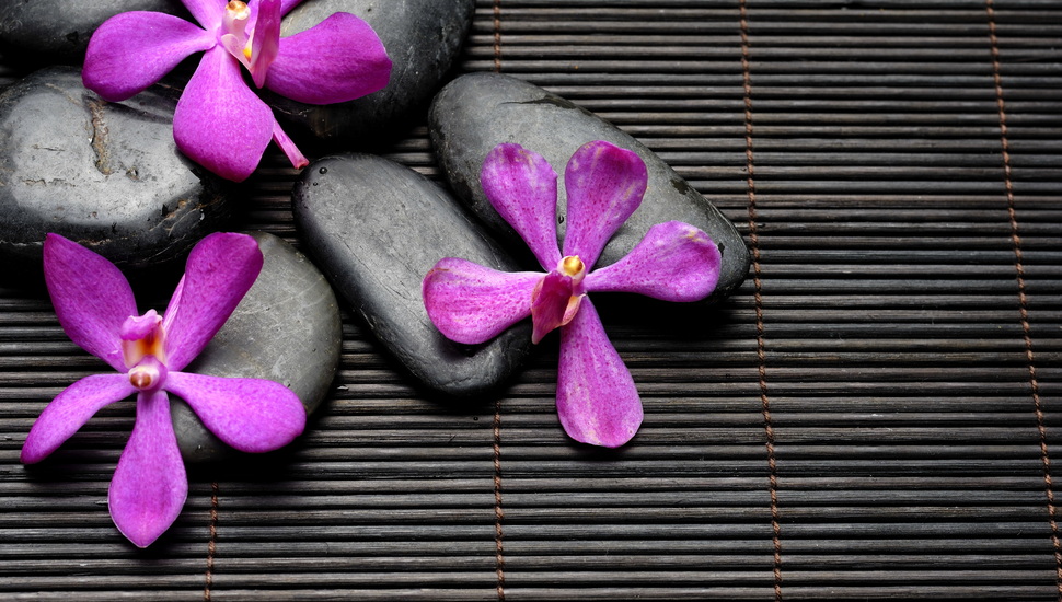 Bamboo, Spa, Spa, Stones, Flowers, Zen, Black, Purple, - Flower Hd Black Iphone - HD Wallpaper 