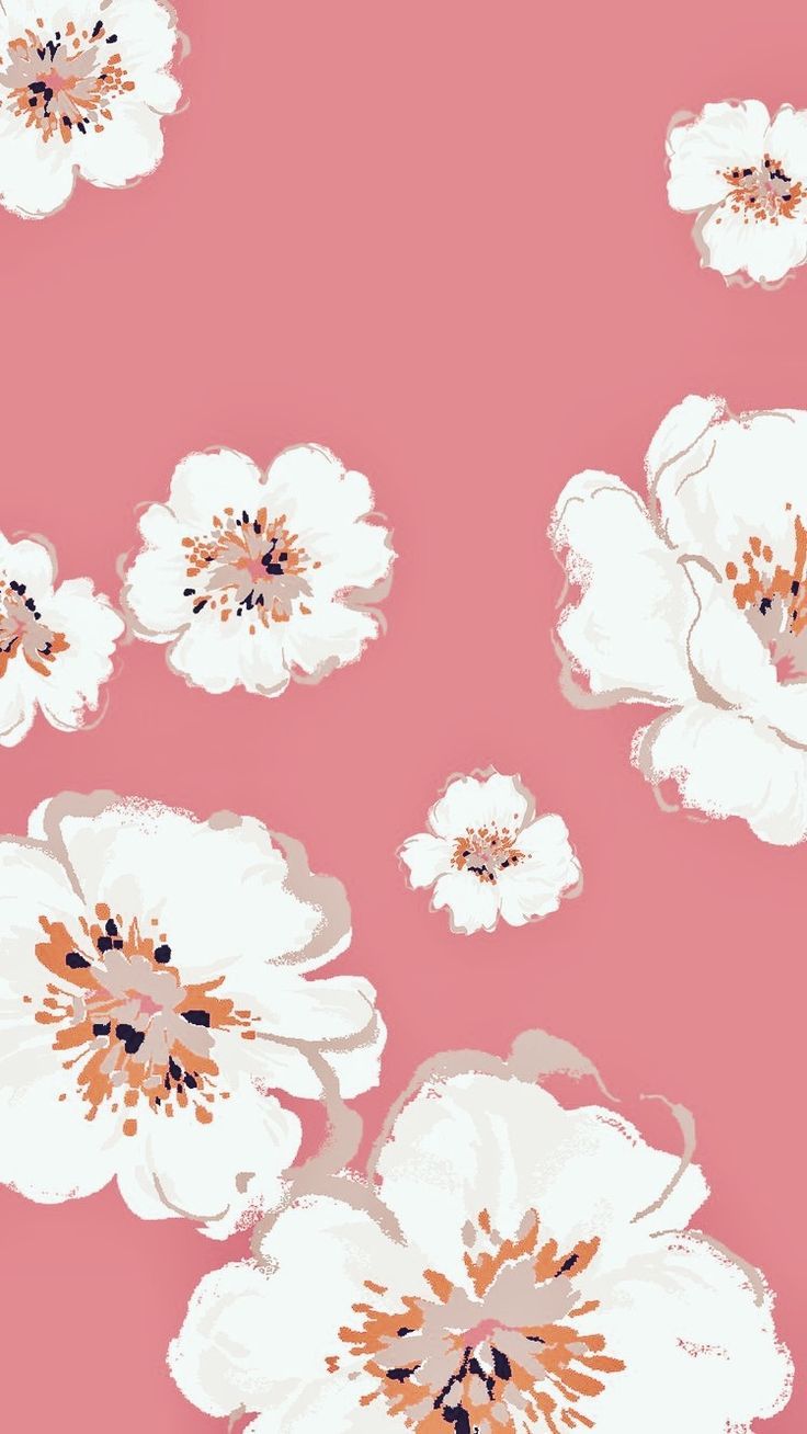 Cute Pinterest Wallpaper Iphone - HD Wallpaper 