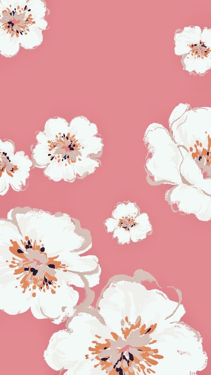 Cute Pinterest Wallpaper Iphone 736x1308 Wallpaper Teahub Io