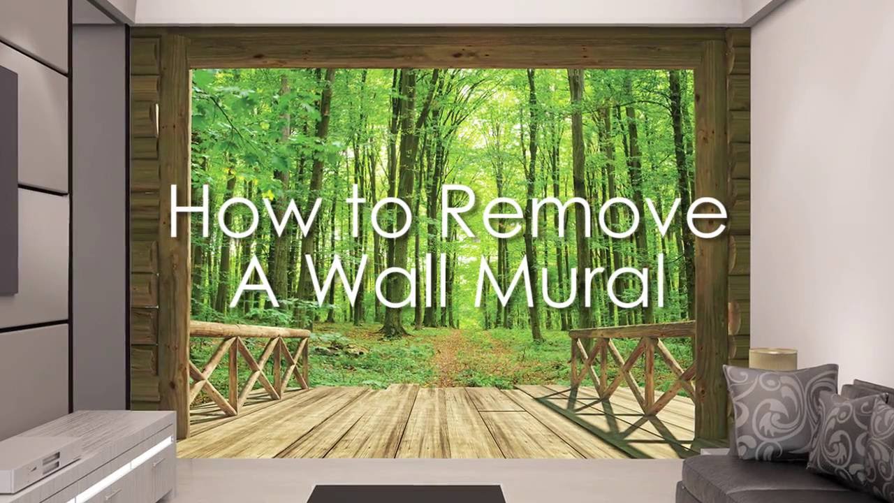 Remove Wall Murals - HD Wallpaper 