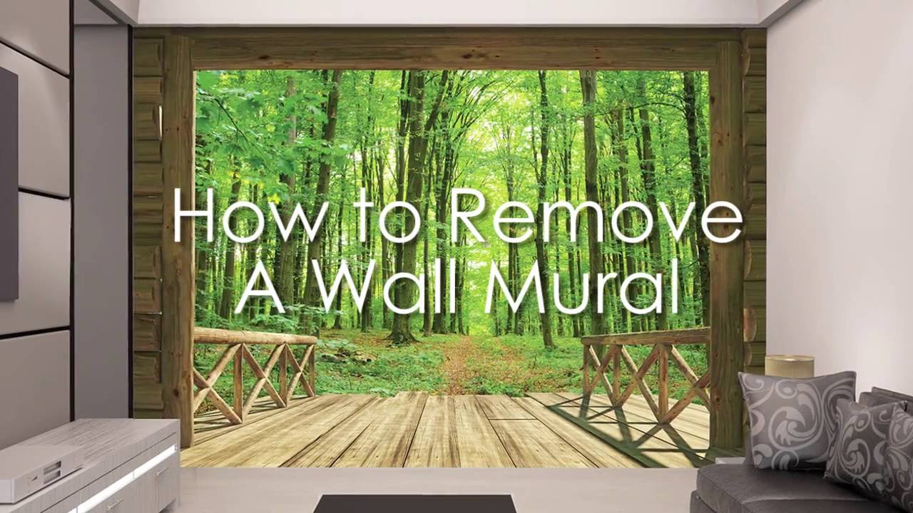 Remove Wall Murals - HD Wallpaper 
