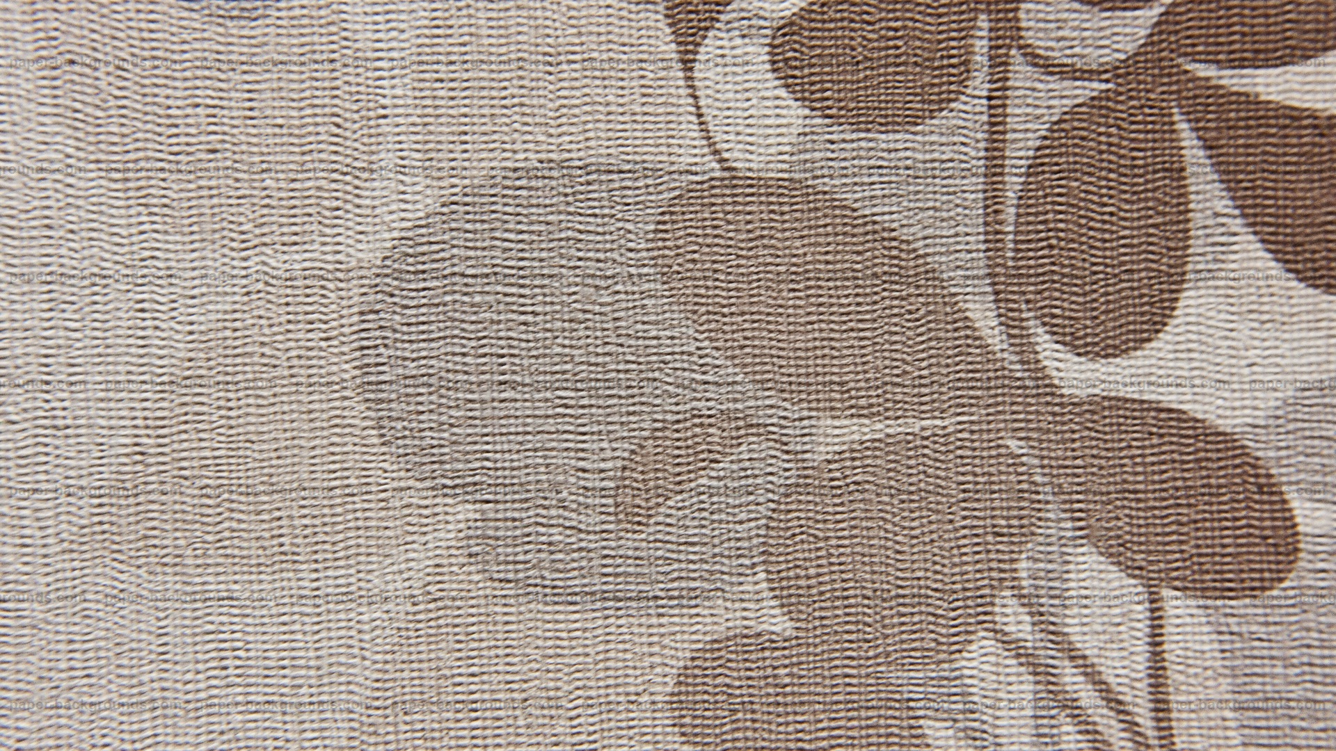 White Brown Abstract Painted Wall Texture Hd - Wall Paint Interior