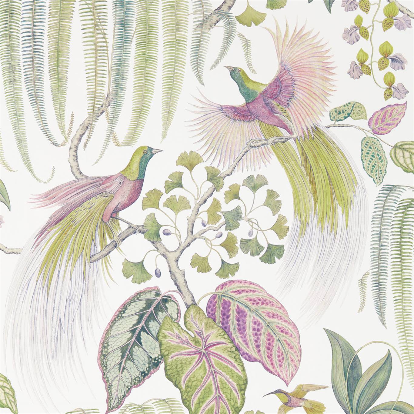 Bird Of Paradise Wallpaper Sanderson - HD Wallpaper 