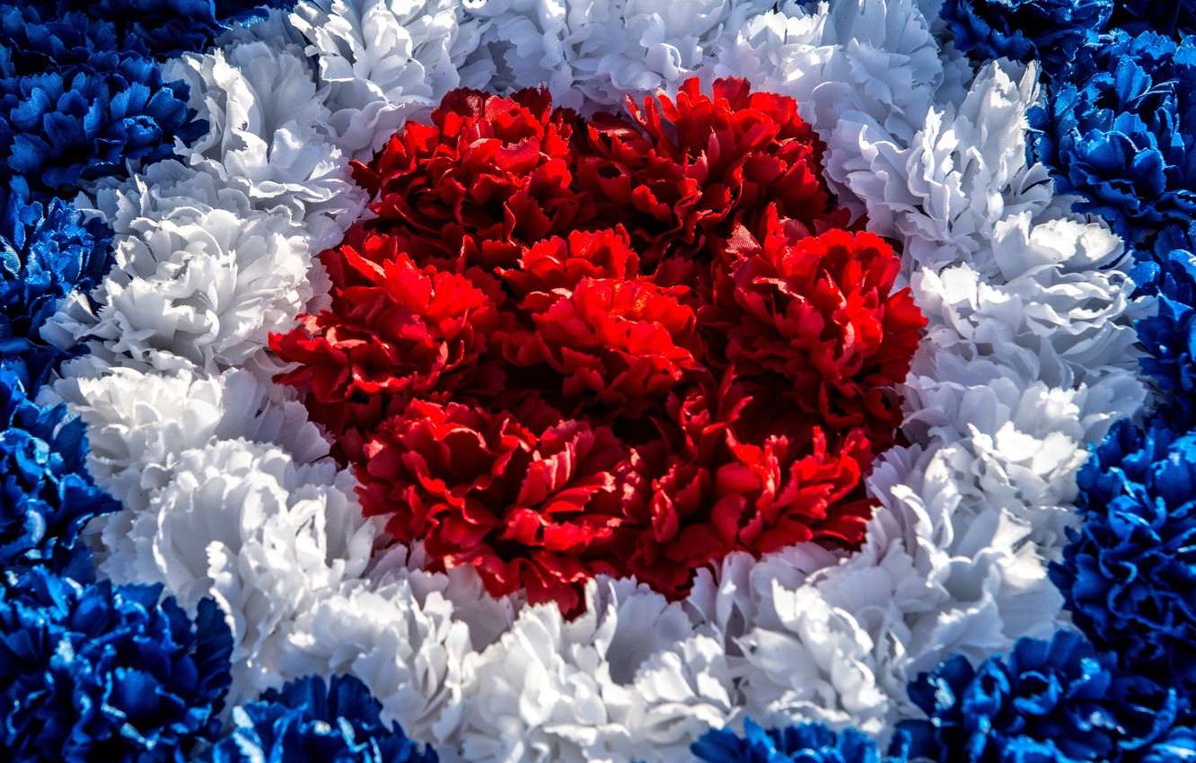 Photo Wallpaper Red, White, Texture, Blue - Texture - HD Wallpaper 