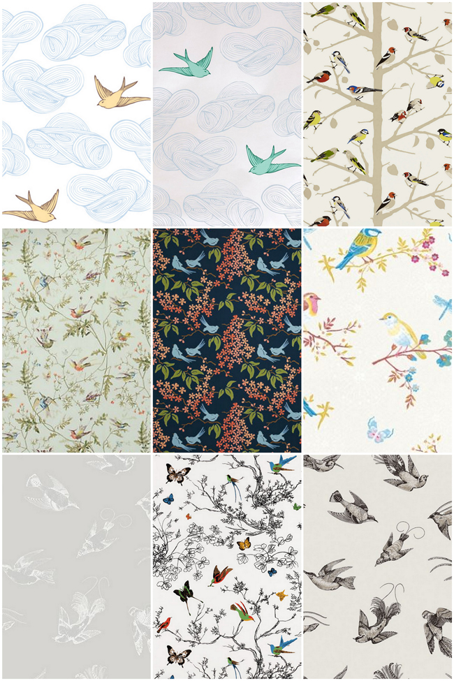 Bird Wallpaper {put A Bird On It For Spring } - Bird Wallpaper For Ceiling - HD Wallpaper 