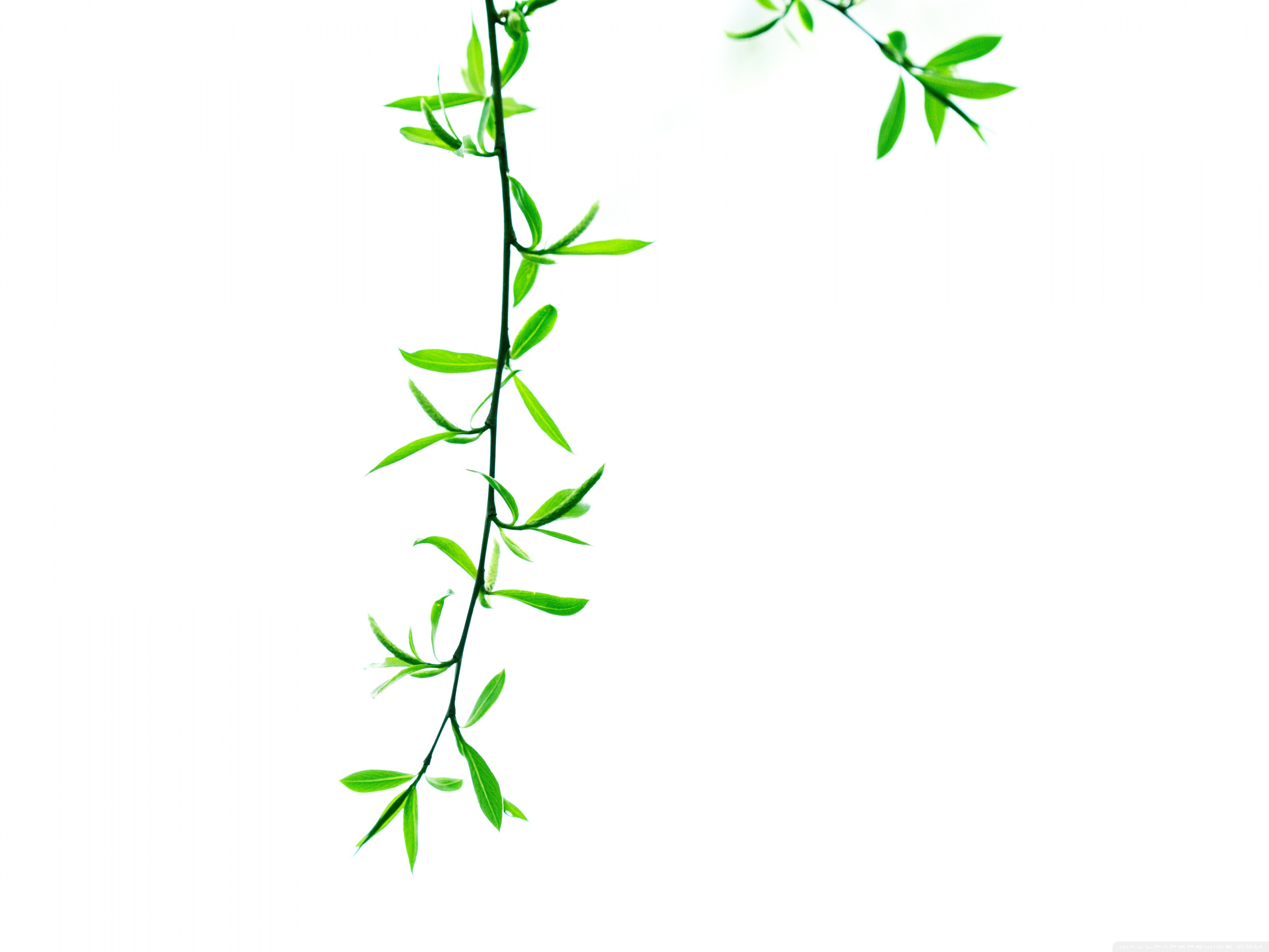 Setting Boundaries Is Not Selfish - HD Wallpaper 