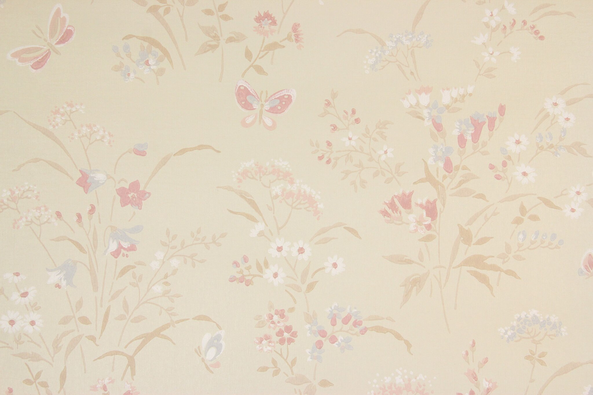 Wallpaper - HD Wallpaper 