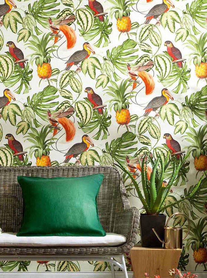 Tropical Bird Wallpaper Uk - HD Wallpaper 