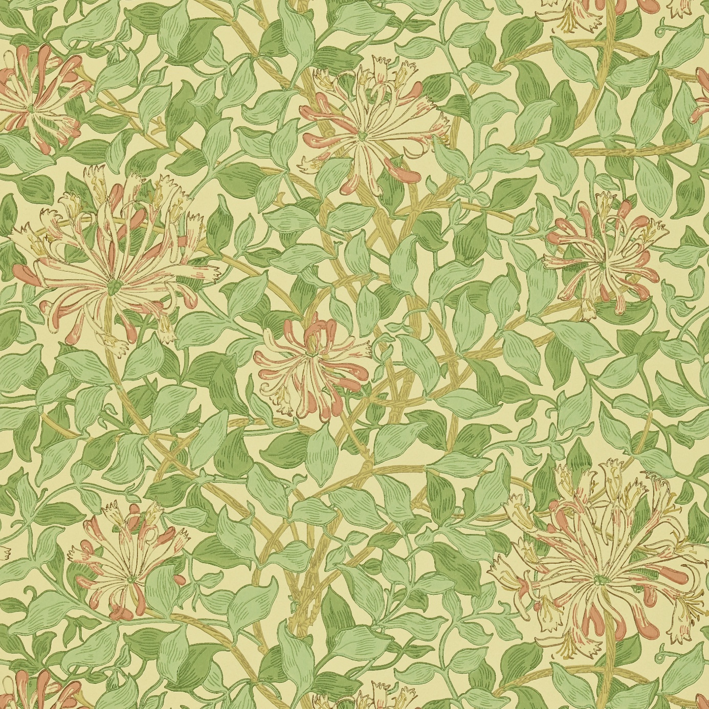 Wm7611/5 Honeysuckle Green Beige Pink Wallpaper By - HD Wallpaper 