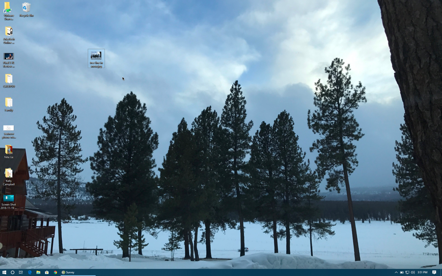 Photo Stretched To Fit Screen Win10 Desktop Wallpaper - Shortleaf Black Spruce - HD Wallpaper 