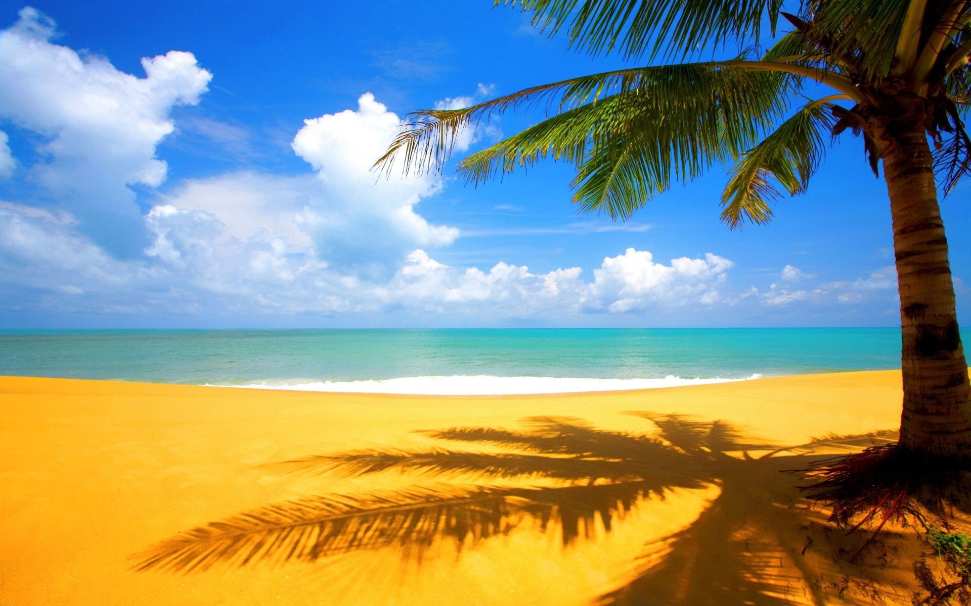 1920x1200, Hd Wallpaper Background, Beach Hd For Pc - Beach And Palm Trees Background - HD Wallpaper 