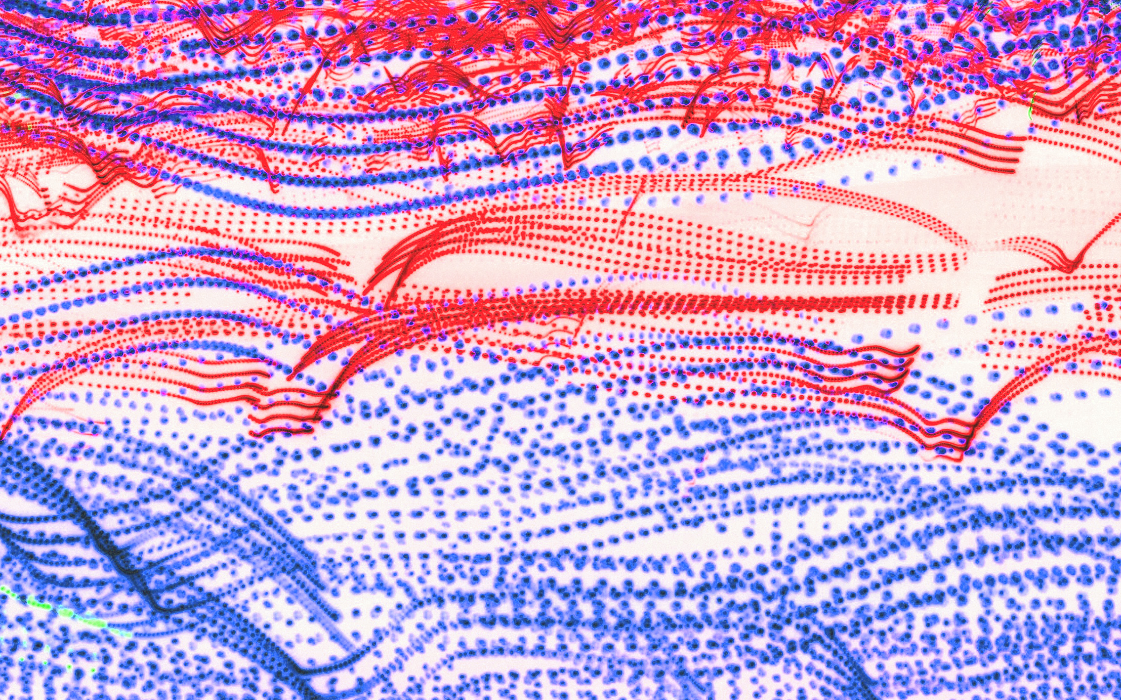 Red White And Blue Iphone - HD Wallpaper 