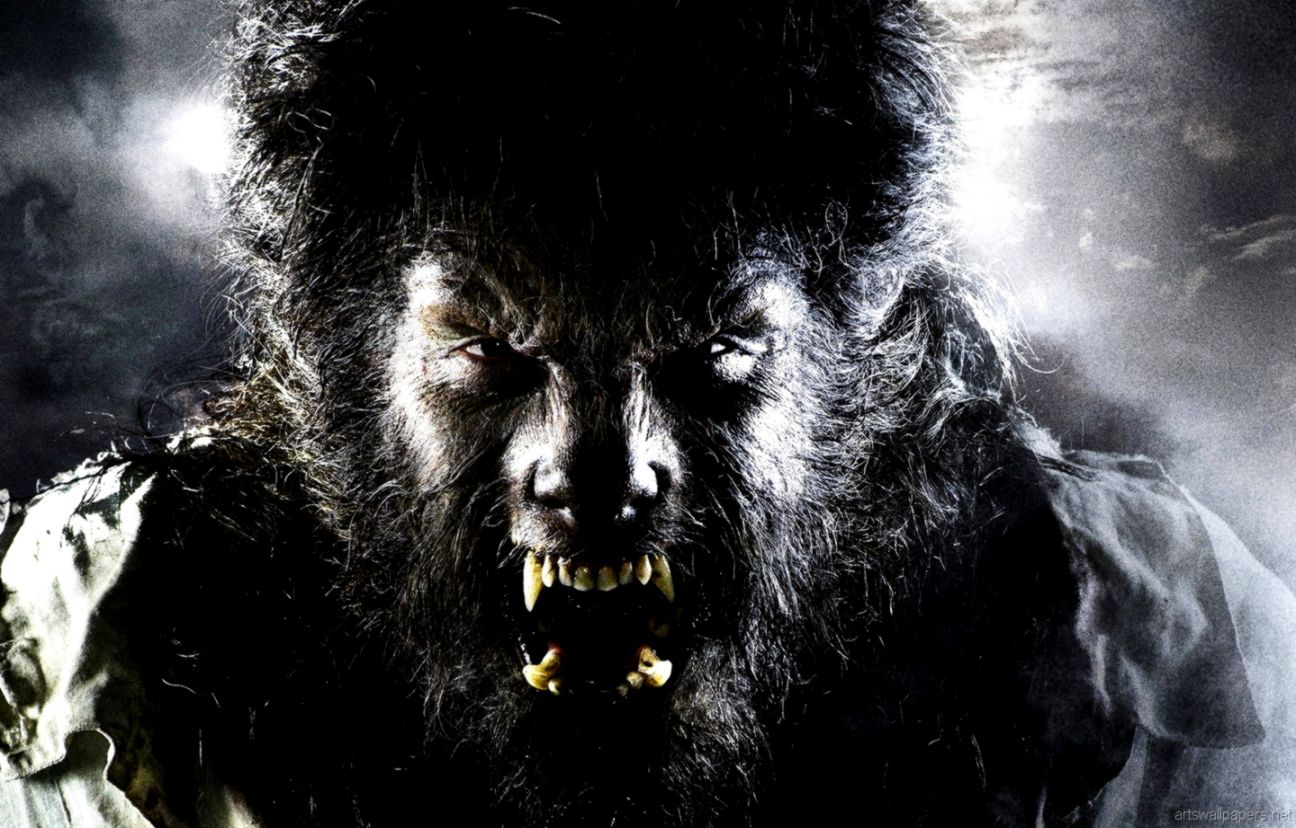Hd Wallpapers Widescreen Art Photography Full Hd 1080p - Wolfman Remake - HD Wallpaper 