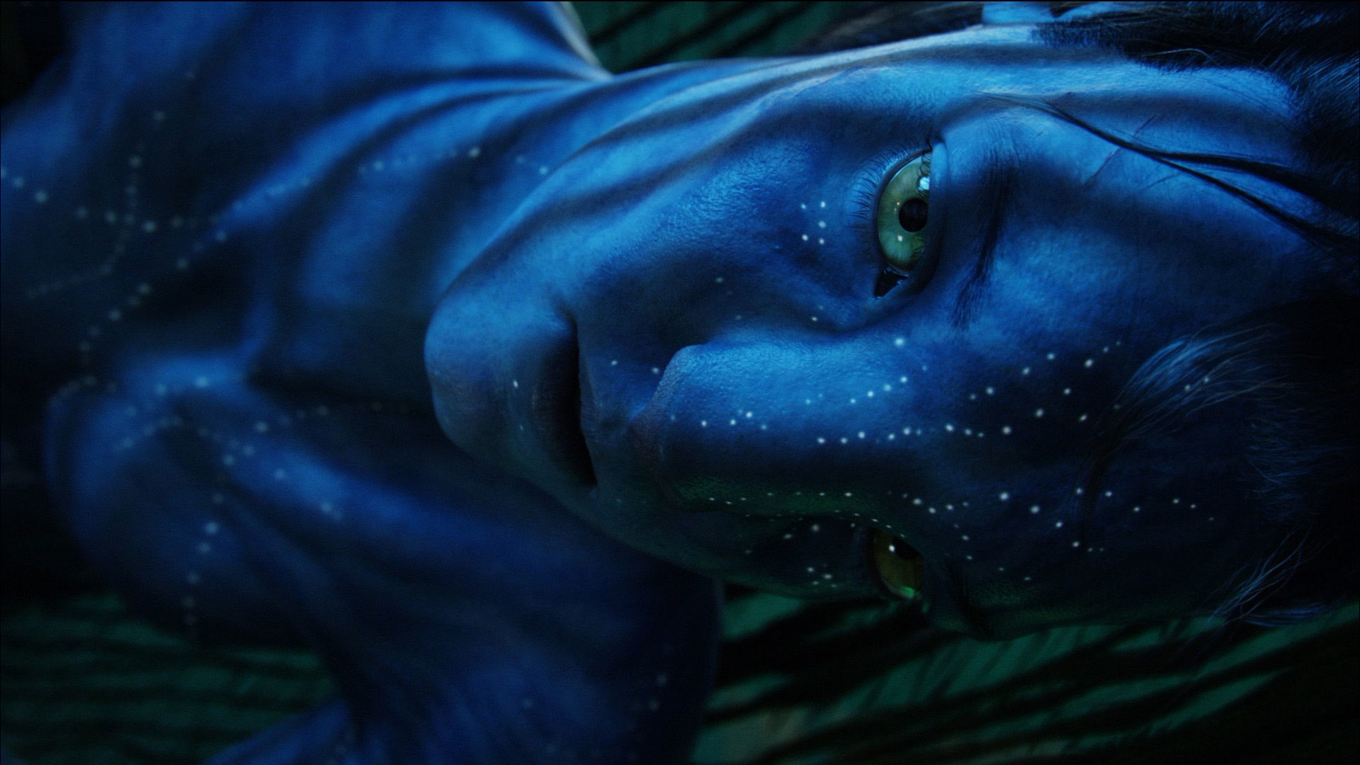 Hd Pics Photos Hollywood Avatar Jake Sleeping Desktop - Close-up - HD Wallpaper 